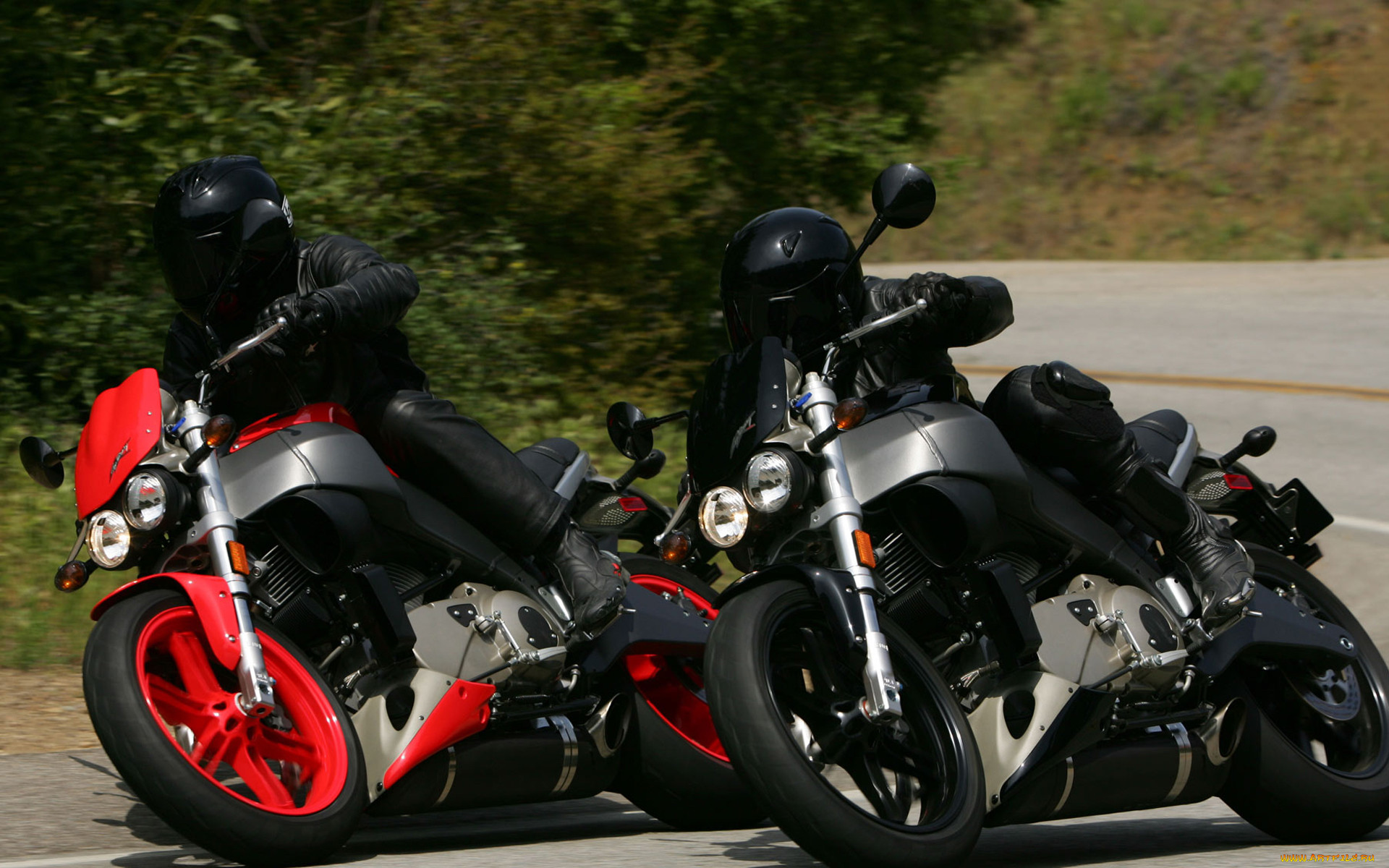, buell